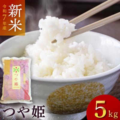 ふるさと納税 鶴岡市 令和7年産つや姫　精米　5kg×1袋