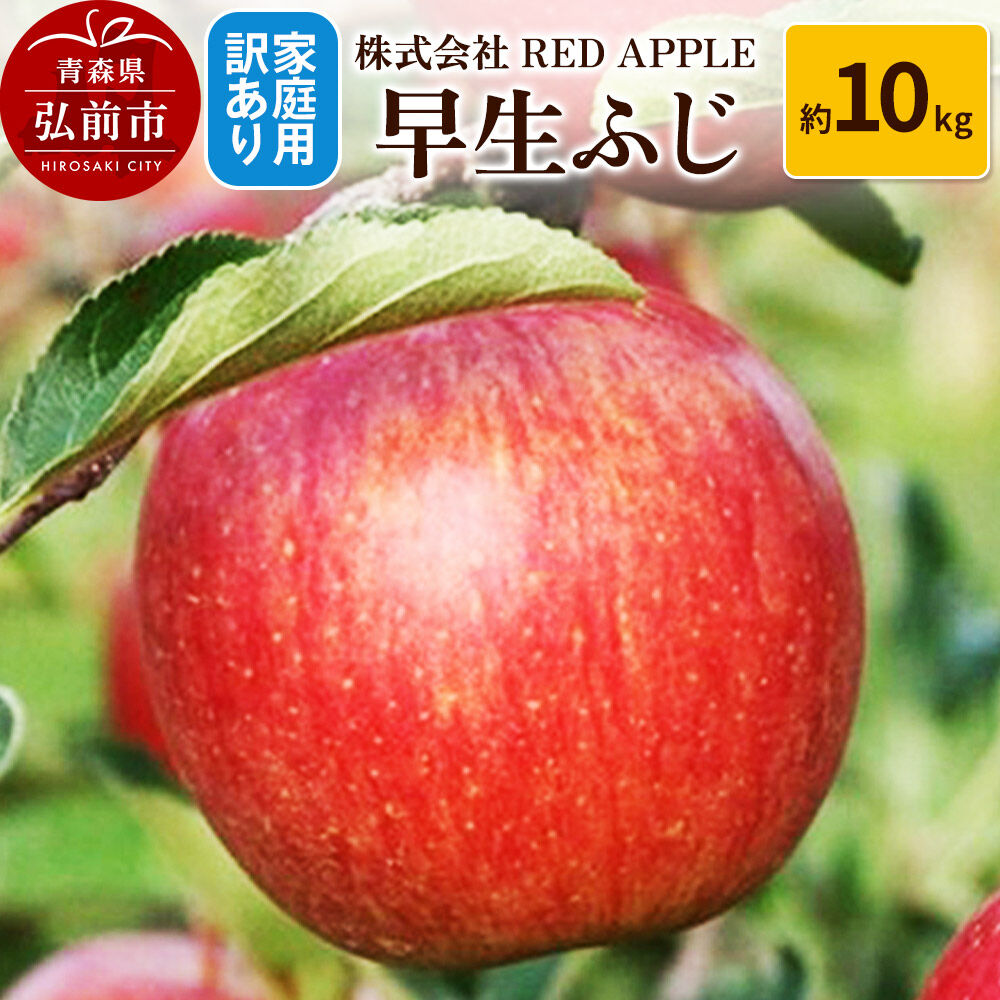 【ふるさと納税】【26年10月発送】りんご【訳あり】家庭用 早生ふじ 約10kg 先行受付 [アップル おいしい ふじ りんご 果実 果物 赤色 早生 美味 林檎]