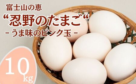 富士山の恵“忍野のたまご“‐うま味のピンク玉‐10㎏