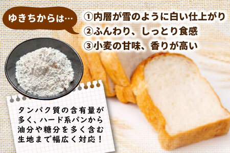 強力小麦粉 ゆきちから 2.5kg（500g×5袋） 岐阜県 東白川村産 小麦 国産 お取り寄せ 強力粉 小麦粉