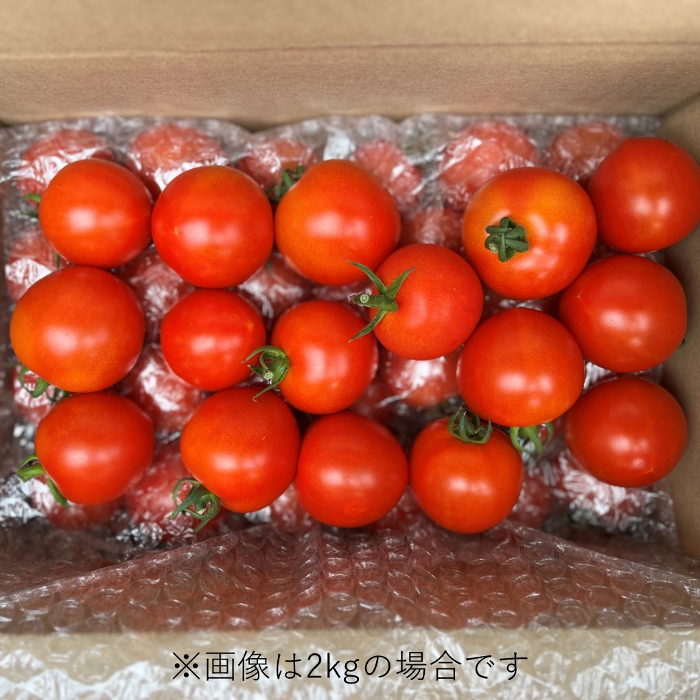 北海道壮瞥町産 ラビットゴッホ2kg 中玉トマト SBTAJ003