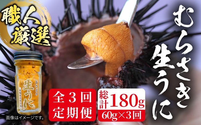 
                  【全3回定期便】壱岐島産 老舗の厳選 おさだの生うに 60g×1本 [JAO036] 54000 54000円
                