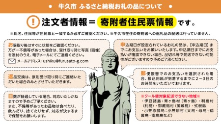 国産牛使用 こだわり 冷凍 ビーフシチュー （ 2食 ）と バケット（ 2つ ）セット 牛肉 洋食 パン 赤ワイン 本格 デミグラス レンジ可 惣菜 簡単 時短