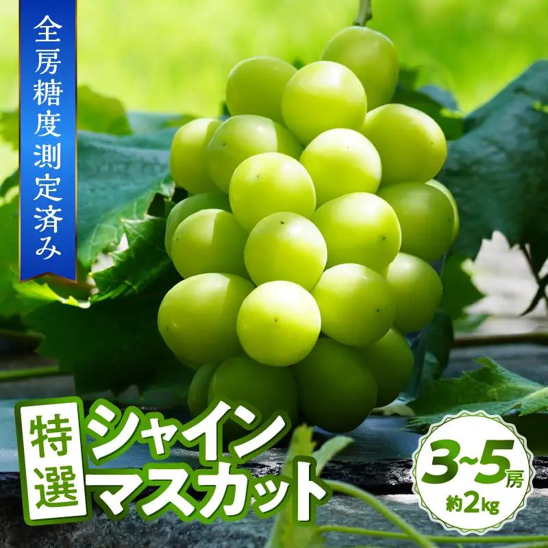 特選 シャインマスカット 約2kg（3～5房）