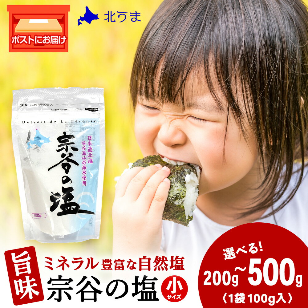 【ふるさと納税】宗谷の塩 選べる200g〜500g 1袋100g宗谷の塩 しお 塩 ミネラル にがり 自然塩 ナチュラル 調味料 北海道ふるさと納税 稚内 【配送不可地域：離島・沖縄県】