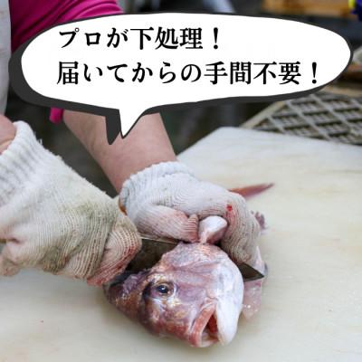 ふるさと納税 南知多町 プロの下処理済み!急速冷凍 天然魚・アラセット(真空パック+煮魚タレ付き) |  | 02