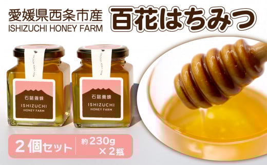 愛媛県西条市産「石鎚養蜂の百花はちみつ」（2個）　はちみつ 蜂蜜 純粋蜂蜜 百花蜜