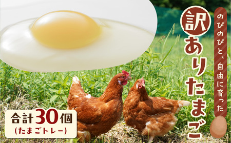 訳あり たまご　（ たまごトレー ） T074-002 訳あり卵 卵 タマゴ 平飼い卵 卵かけごはん HokkaidoGreenCompany ふるさと納税 北海道 苫小牧市 おすすめ ランキング プレゼント ギフト