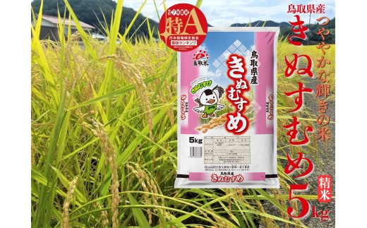 46M.鳥取県産きぬむすめ◇精米5kg◇令和7年産