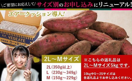 島津甘藷　熟成紅はるか 5kg(2L～M) _LD-A701_(都城市) 幻のサツマイモ 幻の品種 紅はるか 5kg 2L～M ベジエイト