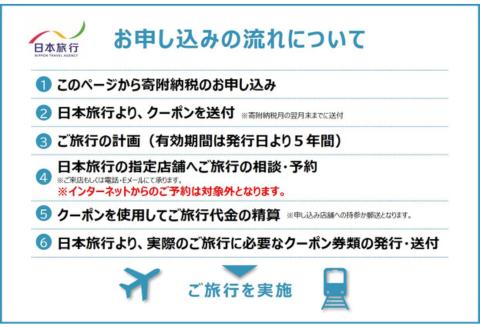 佐賀県佐賀市 地域限定旅行クーポン 90,000円分 日本旅行 トラベルクーポン