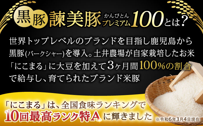 【6回定期便】黒豚諫美豚プレミアム100 バラ肉 しゃぶしゃぶ用 500g(250g×2P) / 豚肉 ぶたにく バラ ばら 豚バラ シャブシャブ しゃぶしゃぶ / 諫早市 / 株式会社土井農場 [A