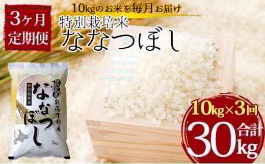 
            定期便 3ヵ月 北海道 特別栽培 令和7年産 ななつぼし 10kg 精米 米 白米 お米 新米 ごはん ご飯 ライス 道産米 ブランド米 新しのつ米 ふっくら 食味ランキング  産地直送 カワサキ森田屋 送料無料 新篠津  
          