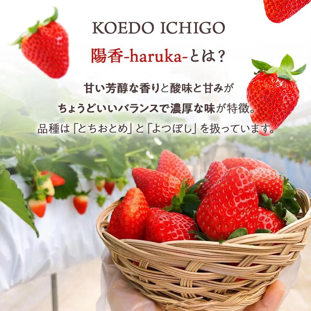  ＠FARM　いちごのパウンドケーキ2個セット