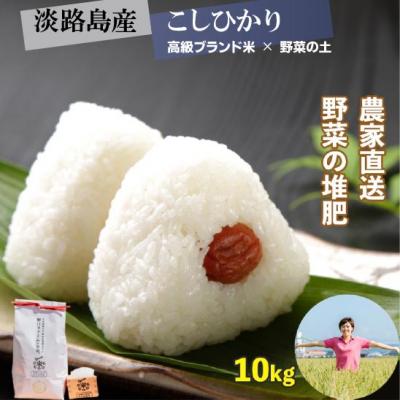 ふるさと納税 南あわじ市 mama-yasaiコシヒカリ 10kg