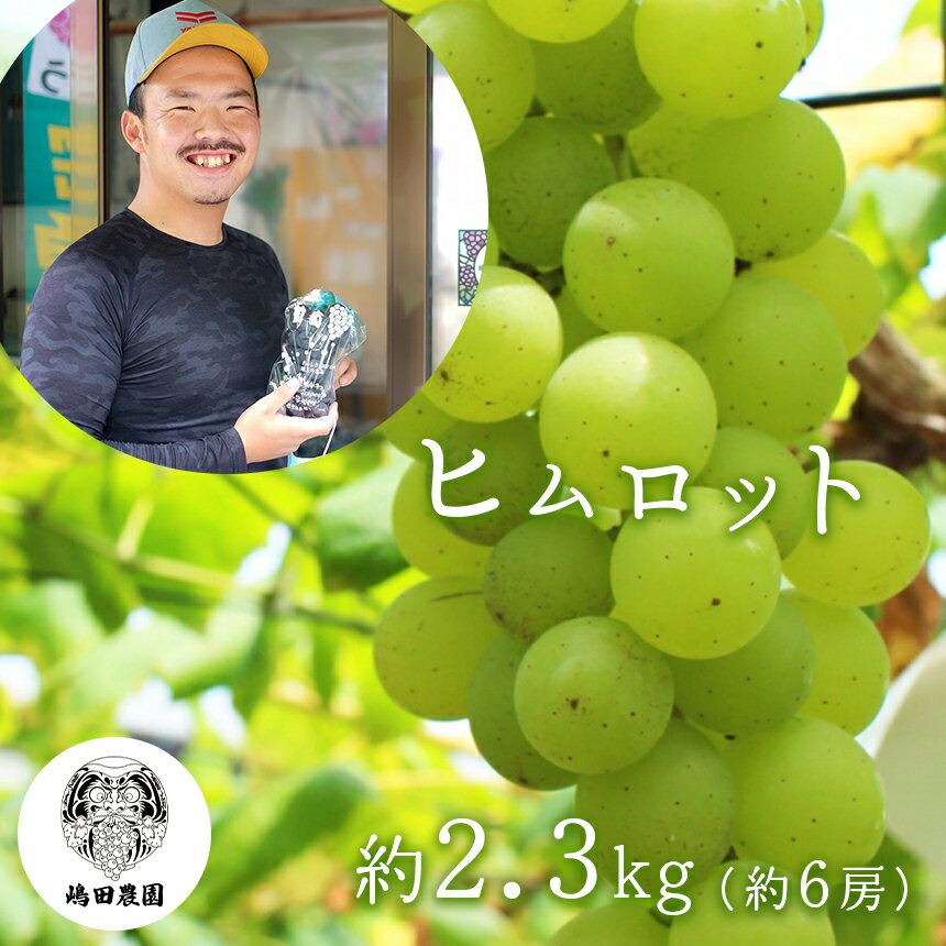 【ふるさと納税】 【 先行予約 】 熊本県産ぶどう ヒムロット ＜7月下旬より順次発送予定＞ 和水町 ぶどう 果物 フルーツ ヒムロット 朝摘み 直送 | 熊本県 熊本 くまもと なごみ 季節の果物