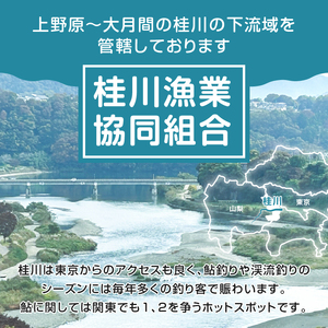 Cセット「桂川のやまめとます」