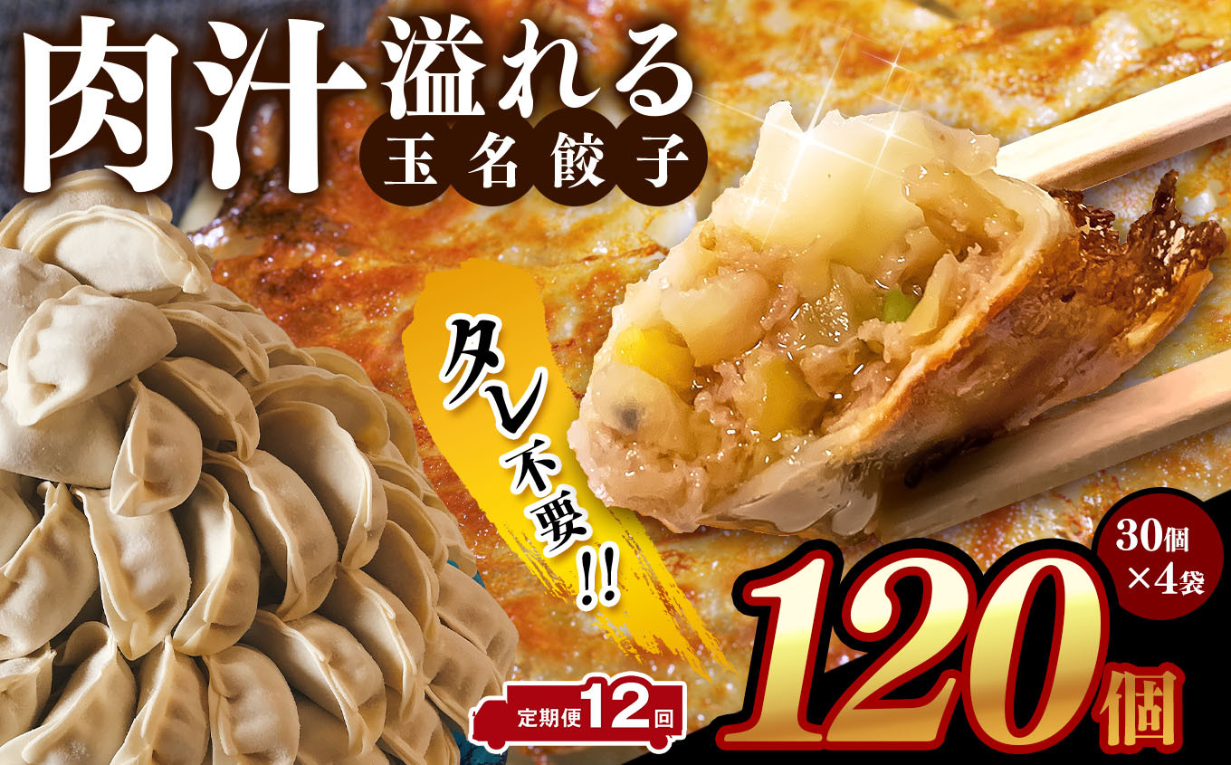 
【 定期便 12回 】タレ不要‼ 肉汁 溢れる『 玉名餃子 』 120個 （30個×4袋）| 餃子 ぎょうざ お手軽 小分け 冷凍 冷凍食品 おかず 豚肉
