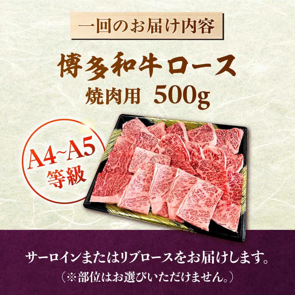 【全6回定期便】【数量限定 博多和牛】ロース 焼肉用 500g 桂川町/株式会社チクゼンヤ [ADBZ047] 焼肉 焼肉用 牛肉 国産 定期便