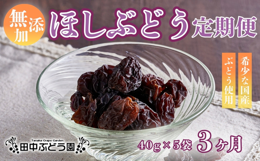【定期便　毎月お届け3ヵ月】ほしぶどう 40g×5袋 国産 ドライフルーツ 無添加 複数品種 希少 レア 小分け 干し葡萄 干しぶどう 干しブドウ 保存食 備蓄食 常備食 食物繊維 鉄分 ほしぶどう 