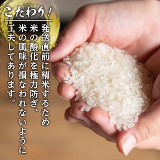 i543 ＜定期便・計6回(連続)＞鹿児島県出水市産ひのひかり美白米＜(3kg×2袋・計6kg)×全6回＞ 米 6kg 計36kg お米 白米 ヒノヒカリ 美白米 定期便 自家脱穀 自家精米 精米 お