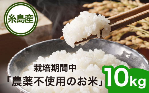 【先行受付中】栽培期間中 農薬不使用のお米 ヒノヒカリ 10kg【2026年10月下旬以降発送以降順次発送】 糸島市 シーブ [AHC007]