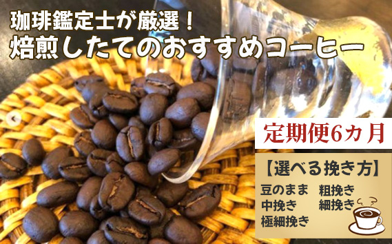 
No.178 【毎月定期便6回】珈琲鑑定士が厳選！焙煎したてのおすすめコーヒー 選べる挽き方
