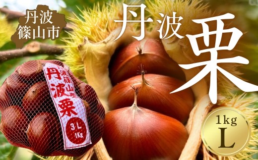 〈品評会受賞〉丹波栗 L 1kg 【低温追熟】安心安全 レシピ付き クリ くり 栗ご飯 栗きんとん 兵庫県丹波篠山市