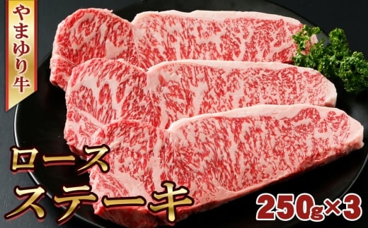 No.1073 やまゆり牛　ロース　ステーキ　250g×3枚 ／ 肉 牛肉 牛 国産 ブランド牛 かながわブランド 旨味 風味 柔らかい 神奈川県