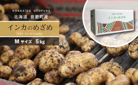 ［先行受付］おとふけ産じゃがいも「インカのめざめ」5kg （Mサイズ）【B127】2025年11月下旬頃より順次発送予定 
