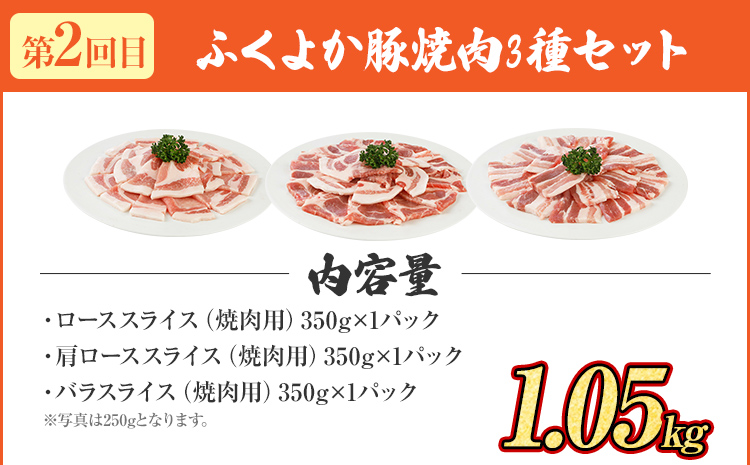 【頒布会】豚肉 しゃぶしゃぶ 焼肉 ステーキ ふくよか豚 満足セット 定期便 ロース 肩ロース バラ モモ ヒレ 小分け ブタ肉 ぶた肉 冷凍 福岡県 福岡 九州 グルメ お取り寄せ