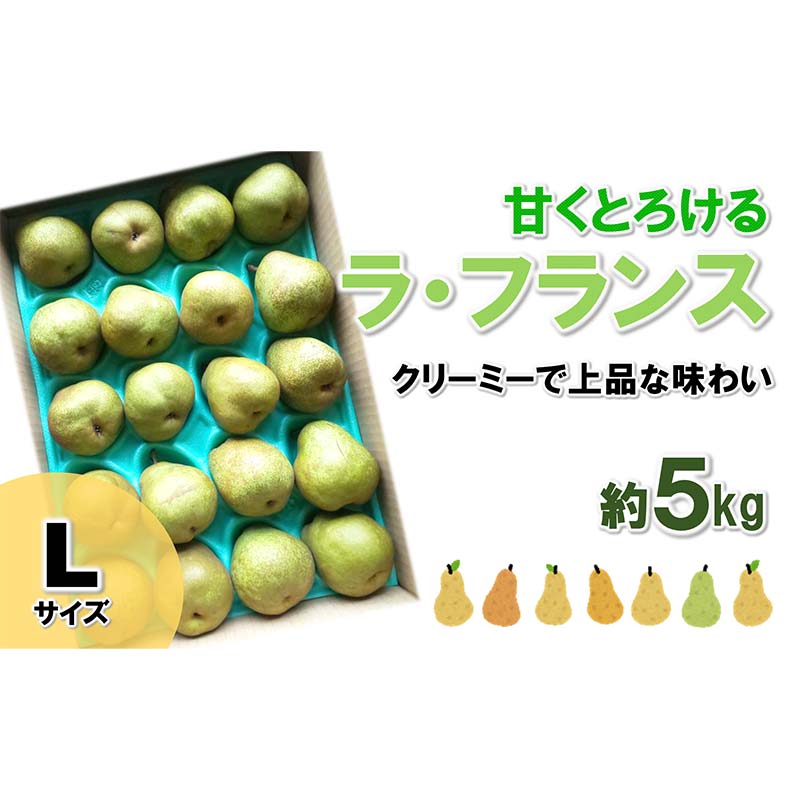 【ふるさと納税】【令和8年産先行予約】 ラ・フランス 約5kg (19玉 秀 Lサイズ) 《令和8年11月上旬～発送》 『田口農園』 ラフランス 西洋梨 洋なし 果物 フルーツ デザート 山形県 南陽市 [1295-R8]