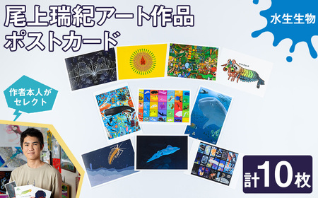 尾上瑞紀 アート作品 ポストカード(水生生物・計10枚)  みー君 京都 宇治 水生 オリジナル 芸術 イラスト テレビ メディア SNS ギフト プレゼント イラスト 絵画 アーティスト クリエイタ
