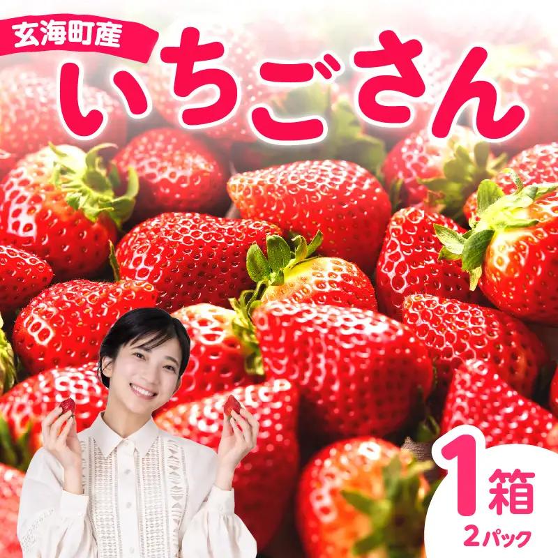 佐賀県玄海町産いちご「いちごさん」【D024】