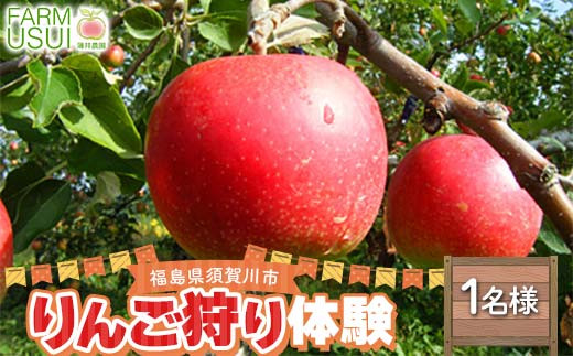りんご狩り体験料金1人様分（45分・食べ放題） 体験 リンゴ狩り 果物狩り リンゴ りんご 林檎 デザート フルーツ 果物 くだもの F7X-0478