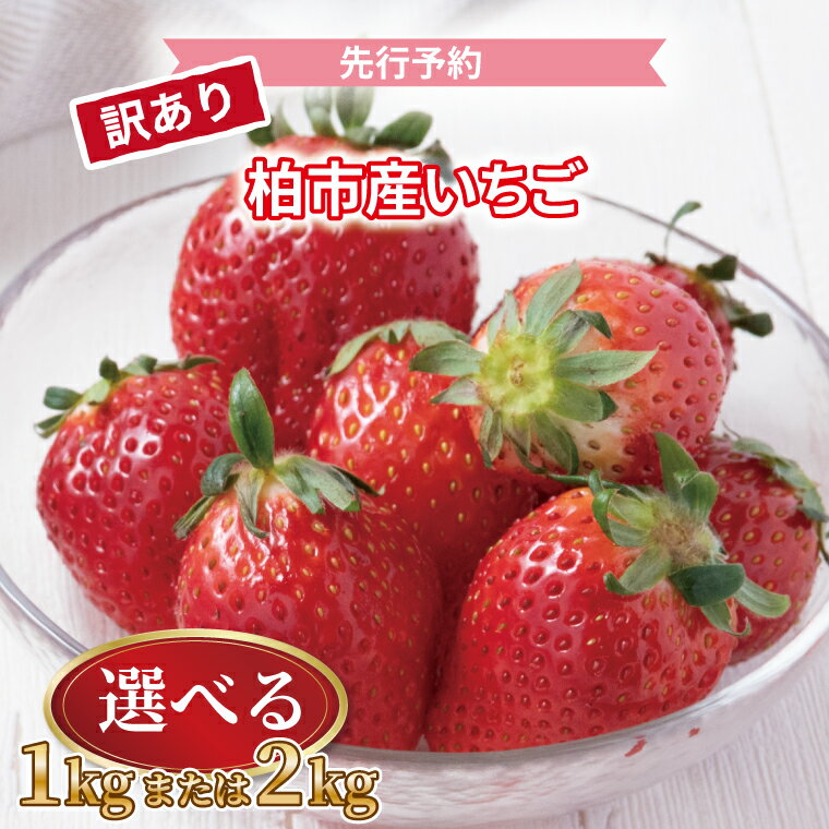 【ふるさと納税】【先行予約】【2026年1月発送開始】 訳あり いちご 詰め合わせ セット 果物 フルーツ 選べる 1kg 2kg くだもの イチゴ 苺 旬 国産 産地直送 千葉県産 柏市産 おいしい おすすめ 季節限定 大量 予約