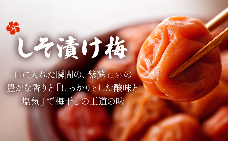 【数量限定！3～7営業日出荷】紀州 南高梅 梅干し しそ漬け 2袋 はちみつ 1袋 送料無料 メール便 ご家庭用 無選別 《3-7営業日以内に発送予定(土日祝日除く)》和歌山県 日高川町 しそ梅 はち