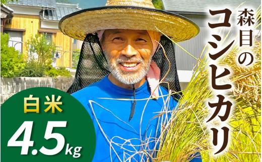 【令和8年産 新米 先行予約】【白米】福井県大野市　森目のコシヒカリ4.5kg |  お米 米 こめ 白米 コシヒカリ お米 精米 玄米 白米 こめ コメ お米 2026年産 おこめ ご飯 ごはん 送料無料 国産 白飯 産地直送 R8 おいしい ふるさと納税 R8