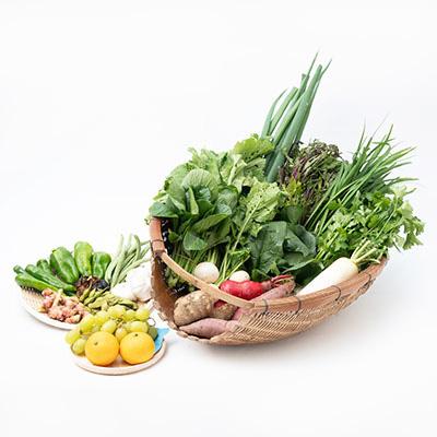 ふるさと納税 輪之内町 【栽培期間中化学肥料・農薬不使用なので安心・安全】　季節の新鮮野菜の詰め合わせ |  | 02
