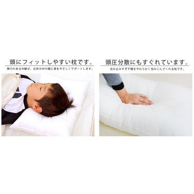 ふるさと納税 米原市 アラエマックス　ダクロン洗える枕　35×50cm(makuraj-0112) |  | 01