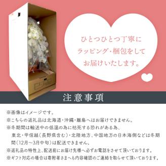 胡蝶蘭 ピンク大輪3本立 39輪 ※お届け不可地域あり【008B-011】