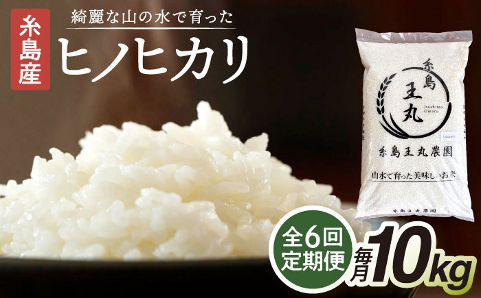 【令和8年産新米】【全6回定期便】糸島産 ヒノヒカリ 10kg×6回 糸島市 / 糸島王丸農園 ( 谷口汰一 )【いとしまごころ】 [AAZ016]
