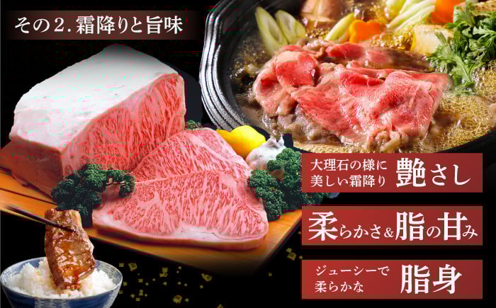 佐賀牛 和牛 国産牛 赤身 ハンバーグ 加工肉 ロース モモ カタ バラ ヒレ パック 個包装