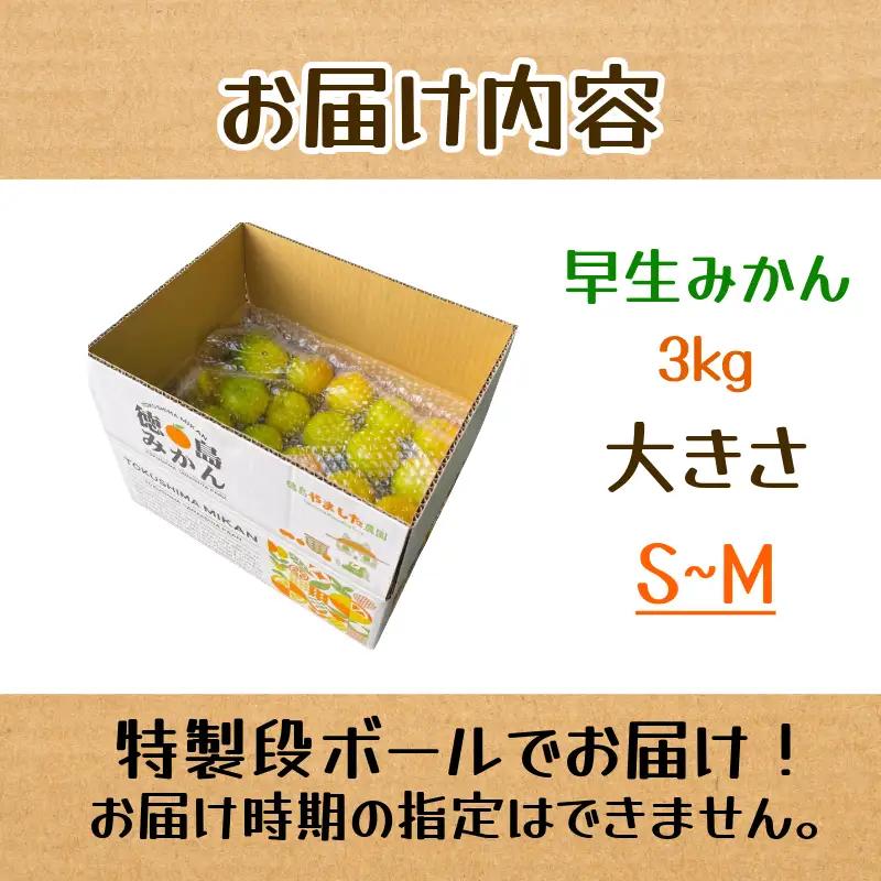 【先行予約】【2026年10月下旬順次発送】 早生みかん 3kg みかん 早生 柑橘 国産 農家直送 徳島県 小松島市