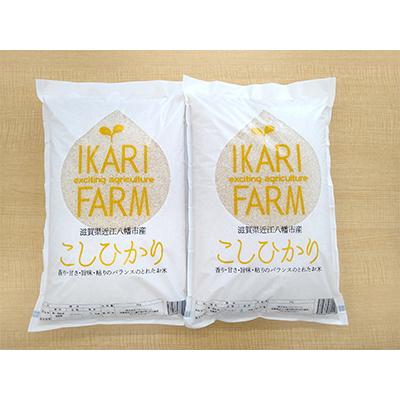 ふるさと納税 近江八幡市 【令和7年産】お米の代表格「コシヒカリ」白米10kg(5kg×2袋)【滋賀県近江八幡市:近江米】