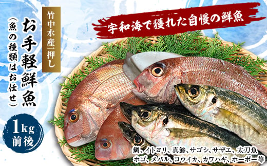 竹中水産の一押し「お手軽鮮魚」1キロ前後＜C22-235＞【1073396】