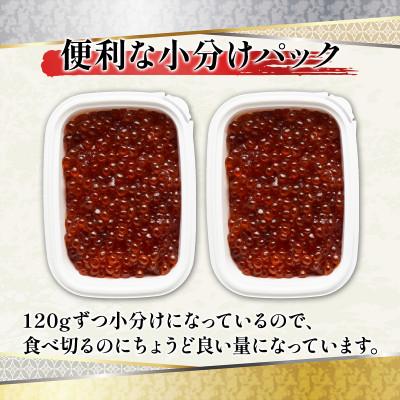 ふるさと納税 鹿部町 丸鮮道場水産 鮭っ子しょうゆ味(筋子) 120g×2個 MC129-4 |  | 02
