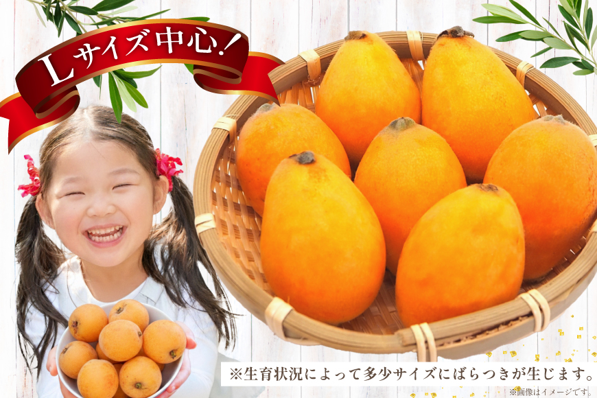 AF220【令和9年度出荷分】びわ 果汁たっぷり！川田さん家の温室栽培びわ 500g [ びわ ビワ 枇杷 フルーツ 果物 くだもの 国産 先行予約 川田農園 長崎県 島原市 ]_イメージ3