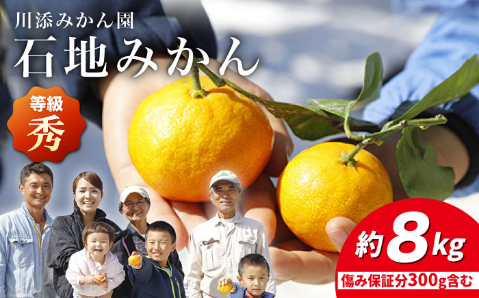 【12月上旬より配送開始☆秀品】石地みかん 約8kg（傷み保証分300g含む）＜川添みかん園＞ [CCT007] みかん