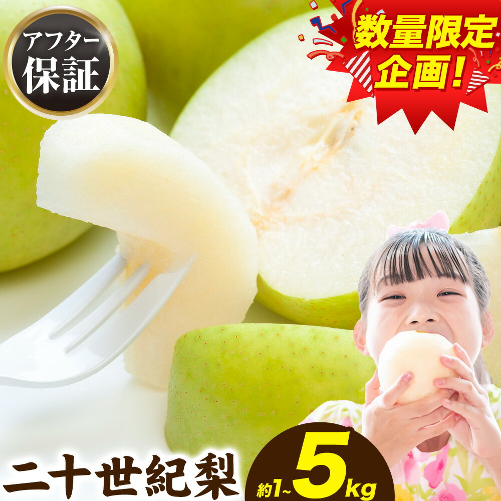 【ふるさと納税】【楽天限定】ご家庭用 梨 なし 二十世紀梨 選べる 約1kg (2~5玉) 約3kg (6~15玉) 約5kg (10~25玉) 《2026年8月下旬-9月下旬頃出荷》二十世紀梨 梨 ご家庭用 旬 二十世紀 鳥取県 八頭町 なし 果物 フルーツ 特産品 デザート訳あり【2026年先行予約】